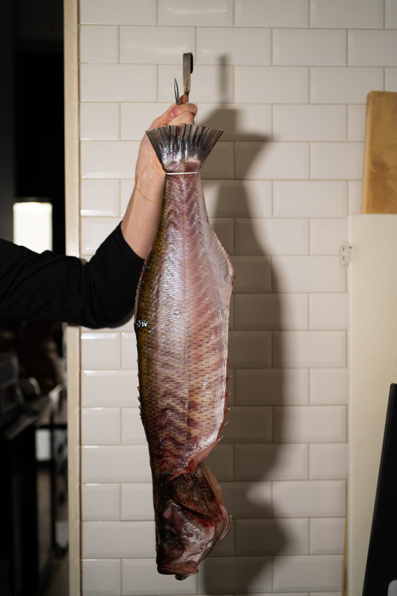 Un pesce intero appeso a un gancio, tenuto in mano davanti alle piastrelle bianche della cucina.